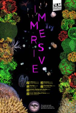 FF2022Spring-Immersive(web)